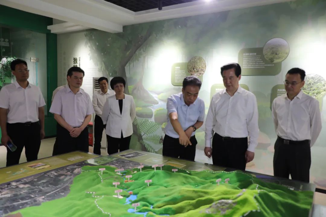 黄楚平到肇庆开展省森林保护管理条例立法调研 为深入推进绿美广东生态建设提供坚实法治保障