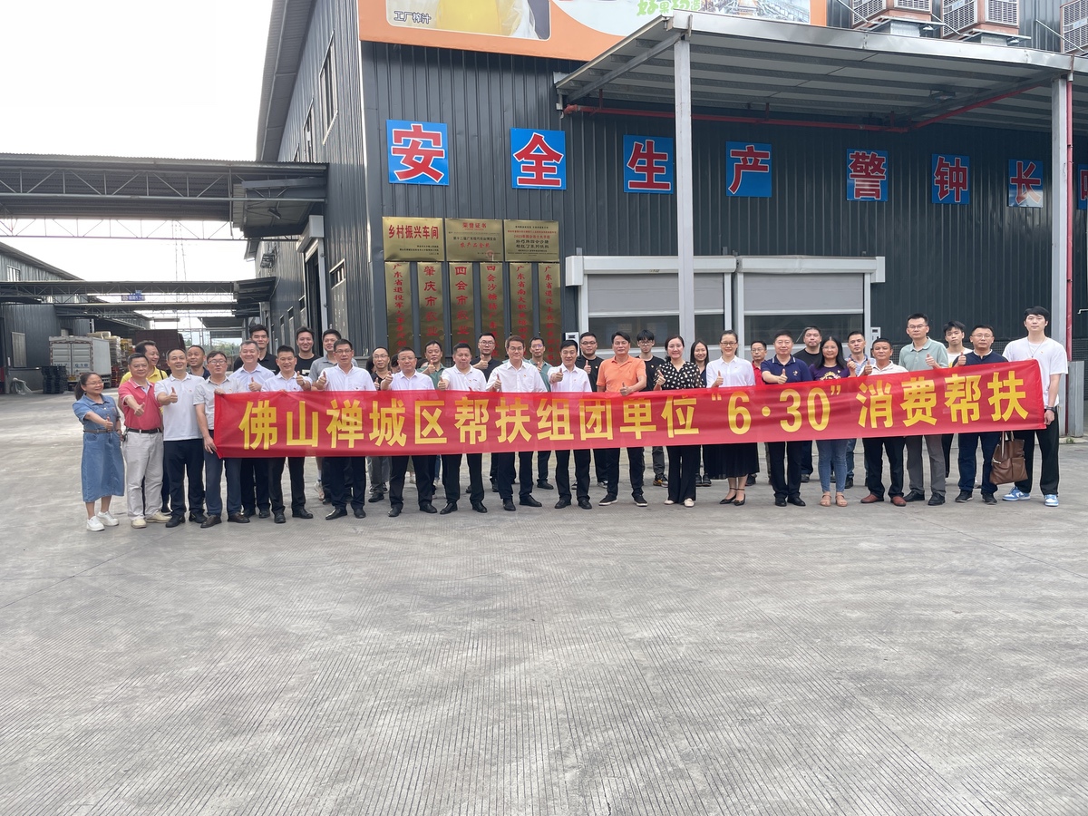 佛山市禅城区有3个单位共计27人去奇乐参观