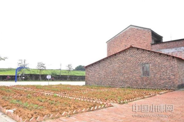 广东四会:“代表联络站”助力推进“百千万工程”